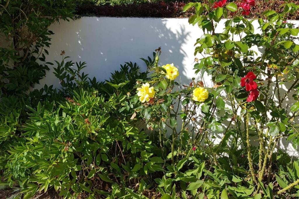 Le Clos De Chacha Vila Carly Exterior foto